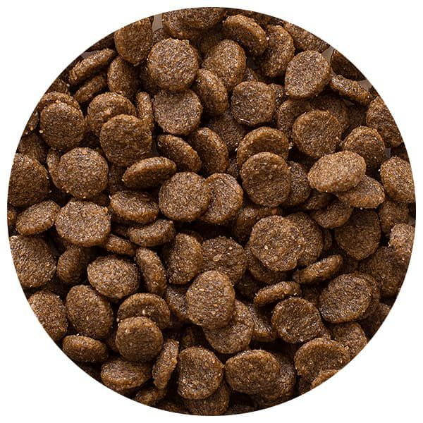 ロイヤルバランス 1kg｜無添加ドッグフード｜プレイアーデン公式