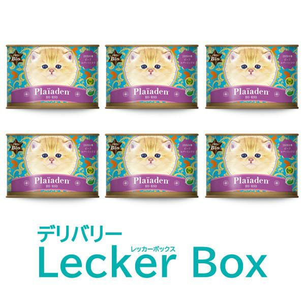 ビーフ（牛肉）キャットフード｜通販 Plaiaden｜プレイアーデン