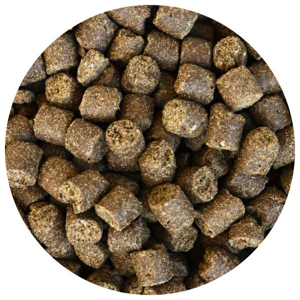 プレミアムケア 3kg｜無添加ドッグフード｜プレイアーデン公式