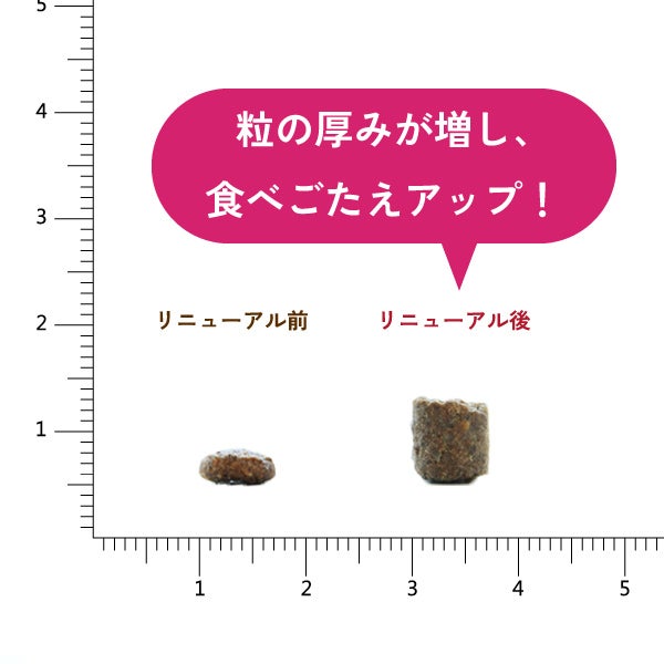 プレミアムケア 1kg｜無添加ドッグフード定期購入｜プレイアーデン公式