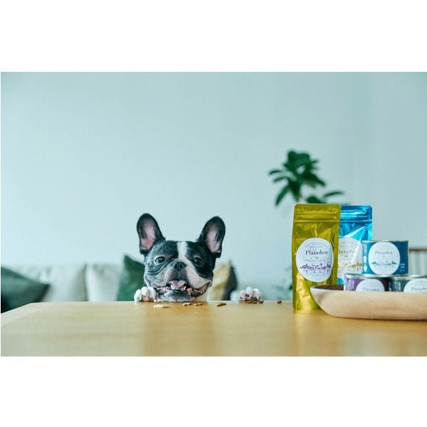 プレミアムケア 3kg｜無添加ドッグフード定期購入｜プレイアーデン公式